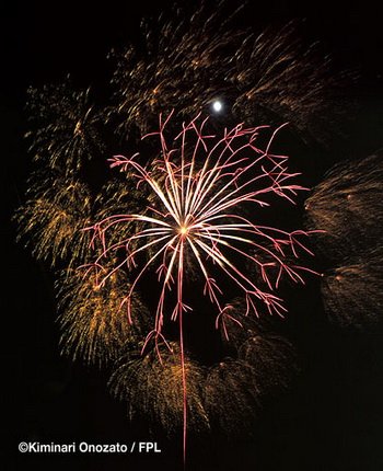 floral shell of shells_gold kamuro